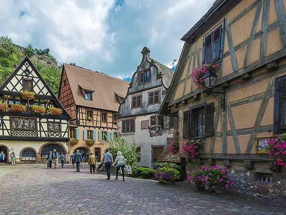 Appartement Climatise 70 M2, Proximite De Colmar Sainte-Croix-en-Plaine Экстерьер фото