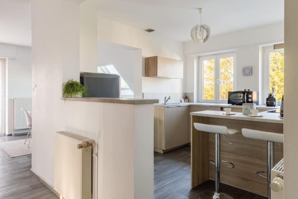 Appartement Climatise 70 M2, Proximite De Colmar Sainte-Croix-en-Plaine Экстерьер фото