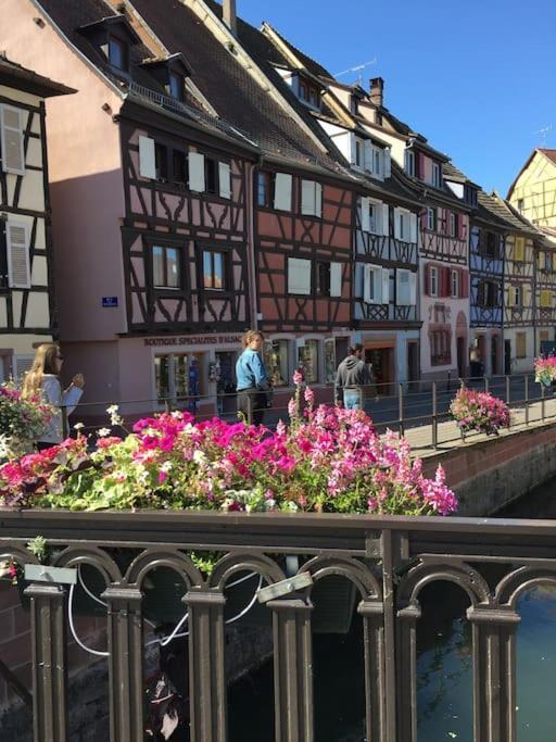 Appartement Climatise 70 M2, Proximite De Colmar Sainte-Croix-en-Plaine Экстерьер фото