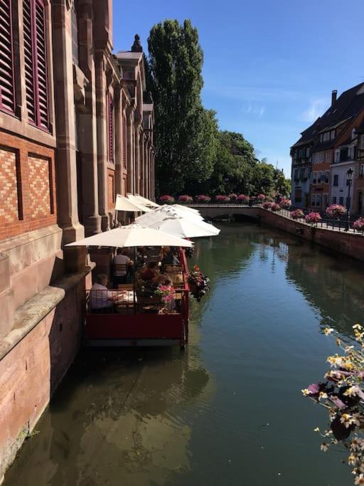 Appartement Climatise 70 M2, Proximite De Colmar Sainte-Croix-en-Plaine Экстерьер фото